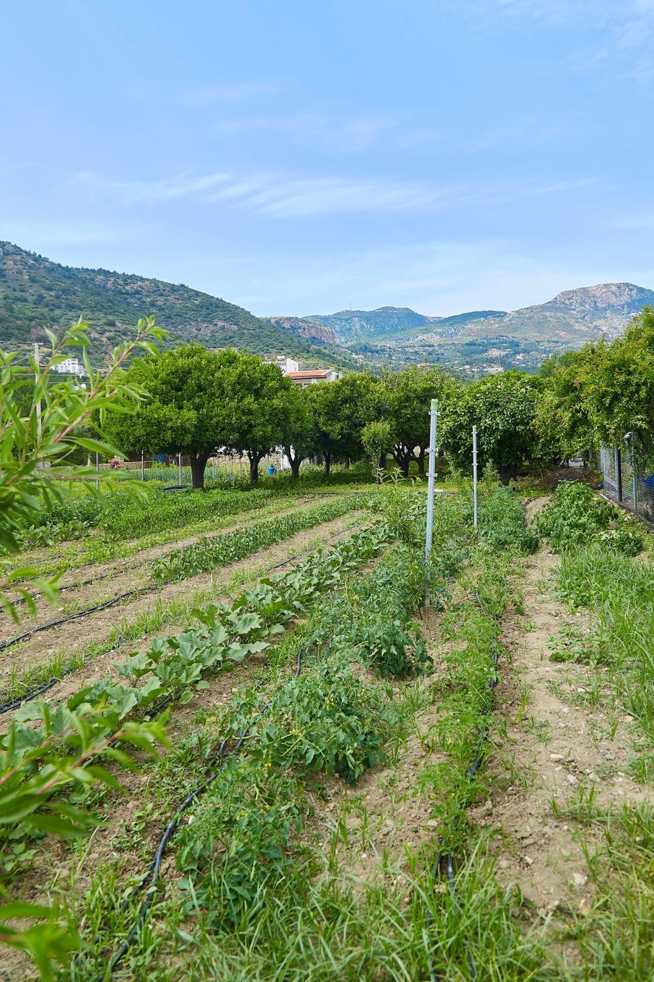 ميسوديه Melinda Pension & Restaurant المظهر الخارجي الصورة