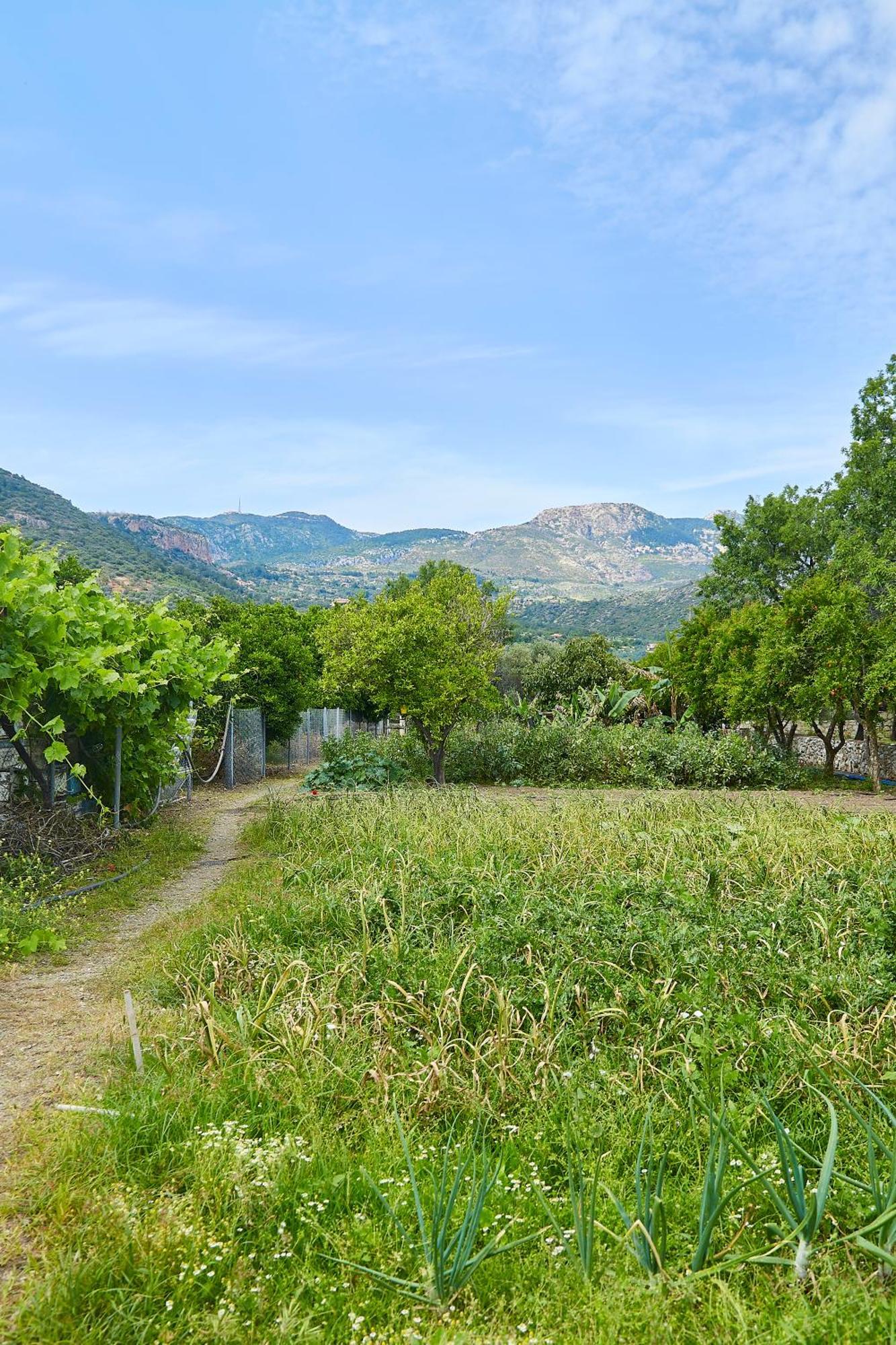 ميسوديه Melinda Pension & Restaurant المظهر الخارجي الصورة